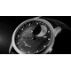 Schaumburg Moon Meteorite